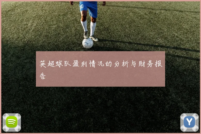英超球队盈利情况的分析与财务报告