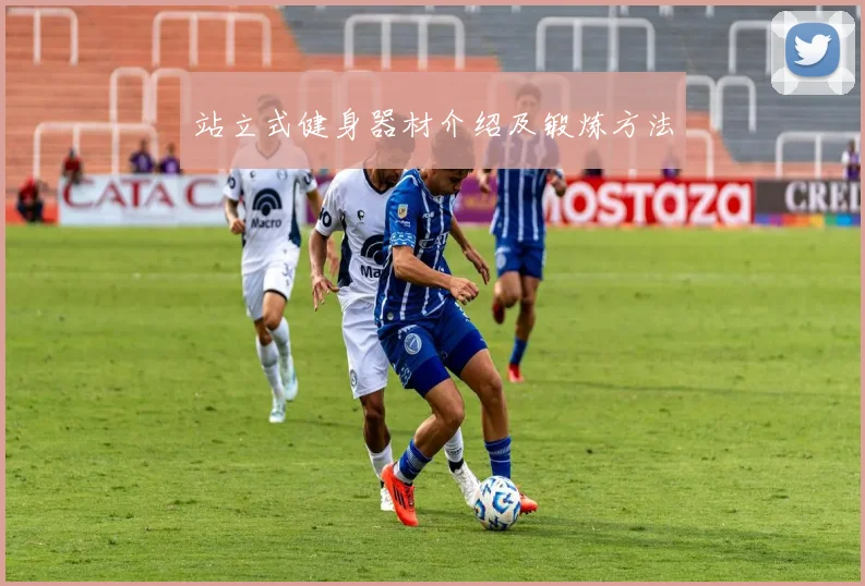 站立式健身器材介绍及锻炼方法